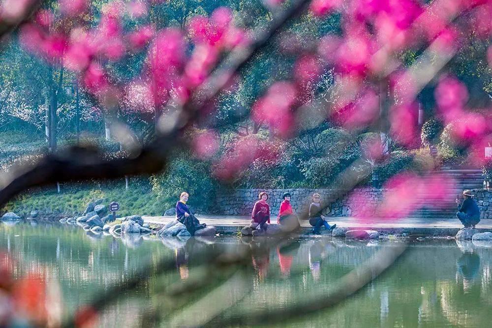 如何轻松搞定挂号就诊?瑞金医院住院医给社区居民送新春“健康礼”