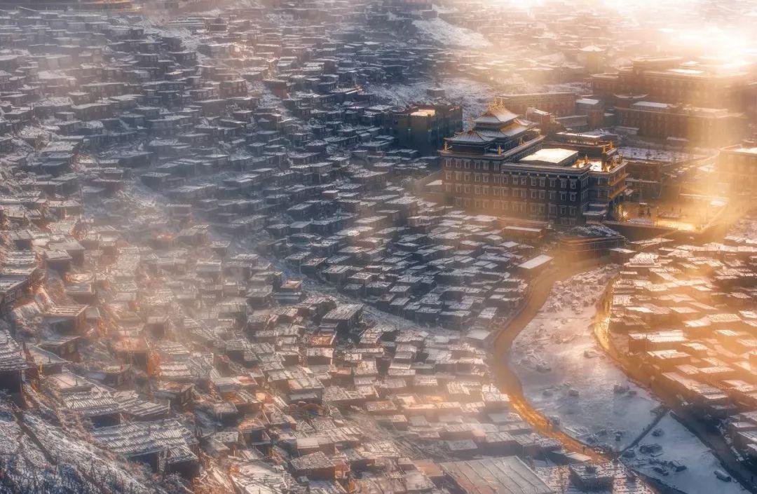 全民烧脑3去广告版