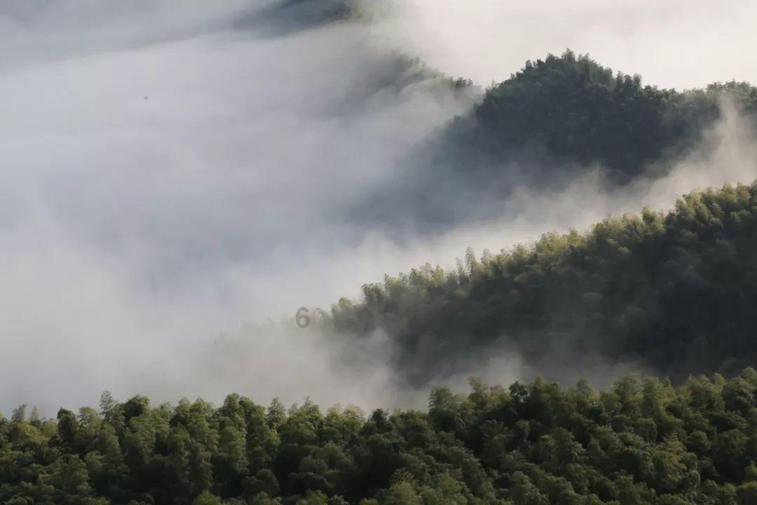 电影《金手指》曝“玩得起”片段 梁朝伟嚣张挑衅遭刘德华狠话回击