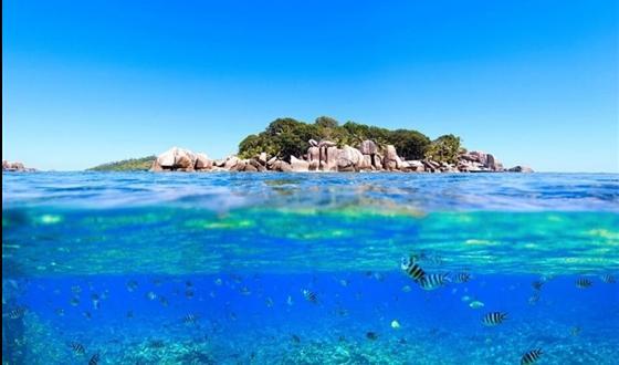 冷冷冷！海口8℃！海南最低7℃！海南继续发布寒冷四级预警
