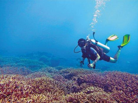 百亿元级产值生物医药与健康产业集群正崛起