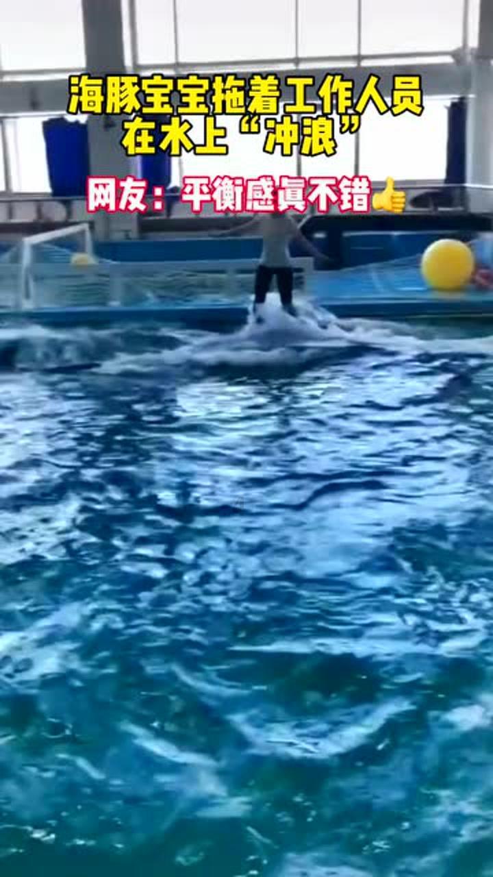 小猫钓鱼游戏龙王版有船
