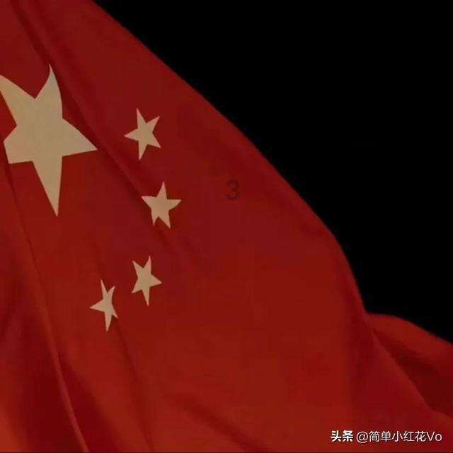 2023冠军基金四季报出炉,重点加仓光伏板块,隆基绿能成头号重仓股