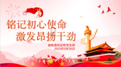 揭开天空之谜2