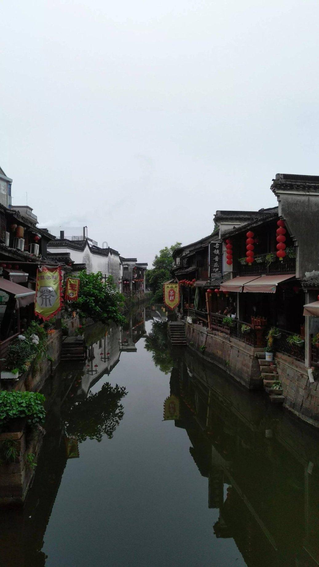 滚动的奶酪选关版
