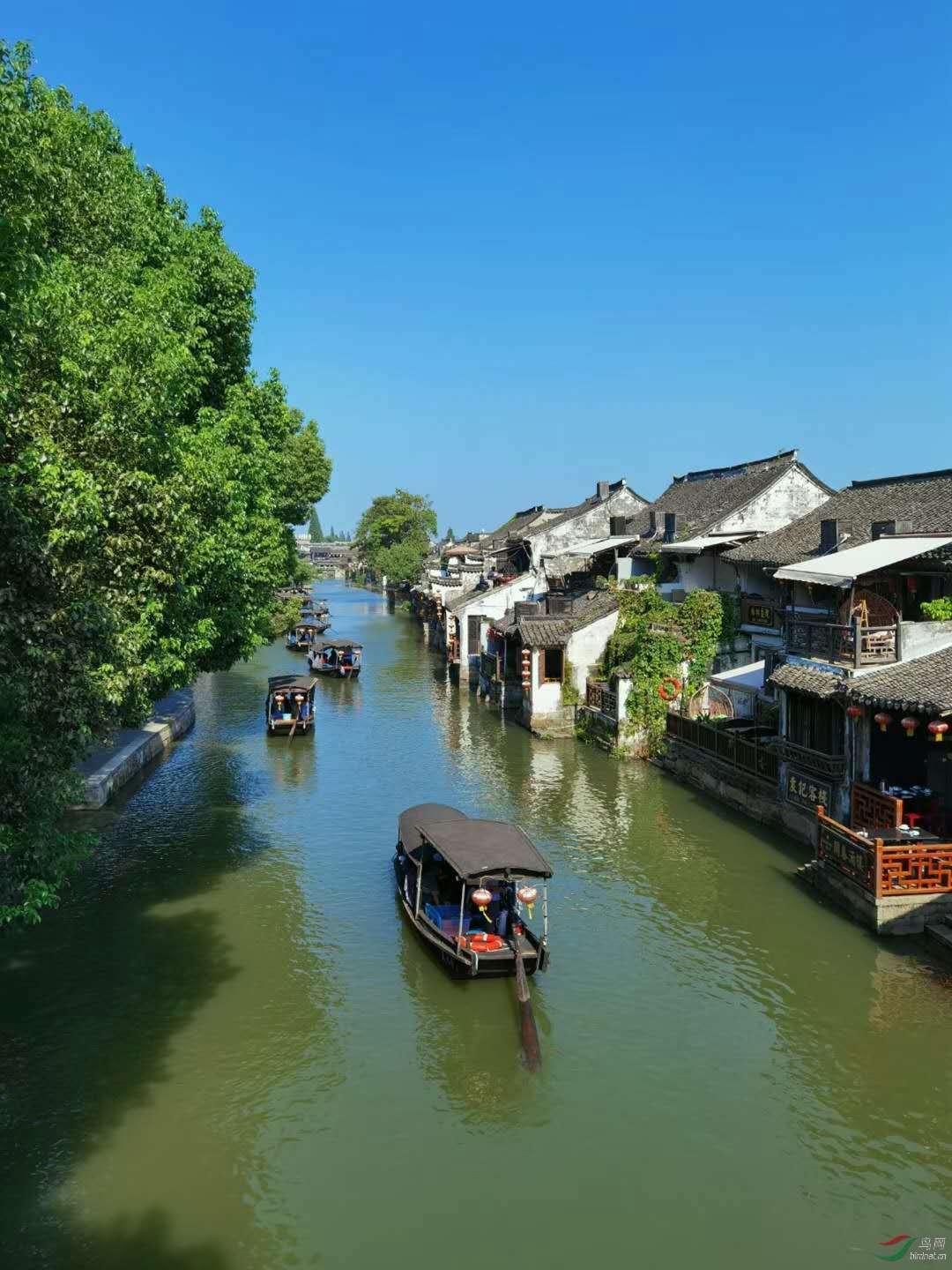 逗小猴开心系列206